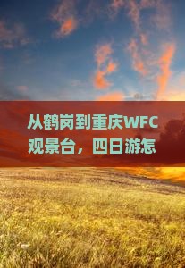 鹤岗去重庆wfc观景台四日游
