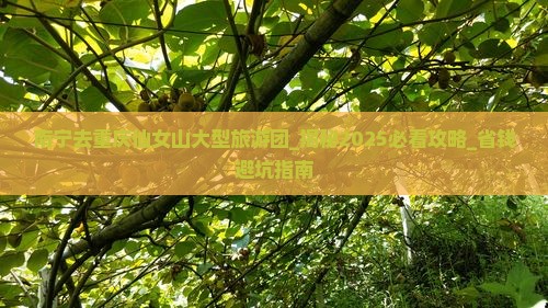 南宁去重庆仙女山大型旅游团