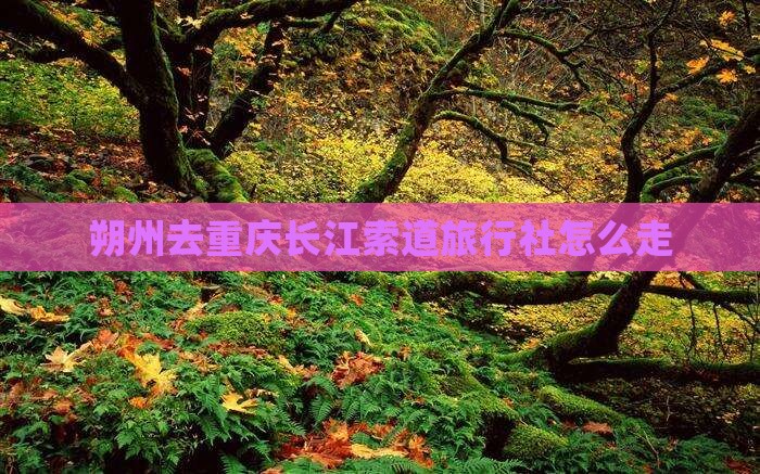朔州去重庆长江索道旅行社