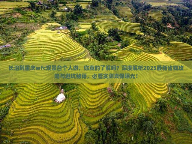长治到重庆wfc观景台个人游
