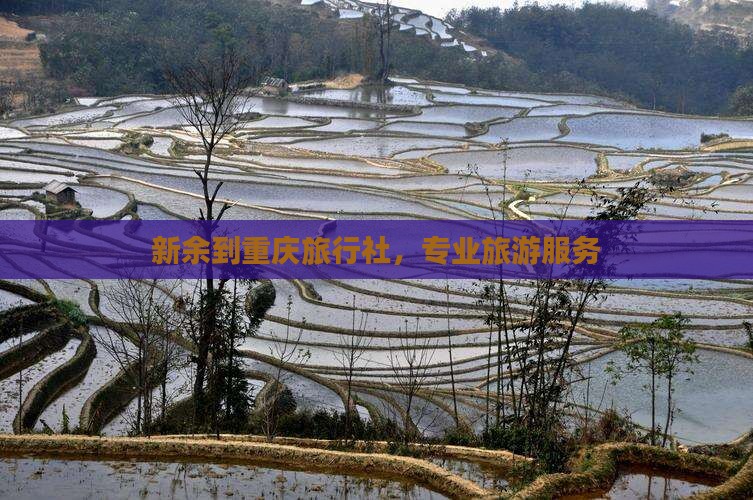 新余到重庆旅行社