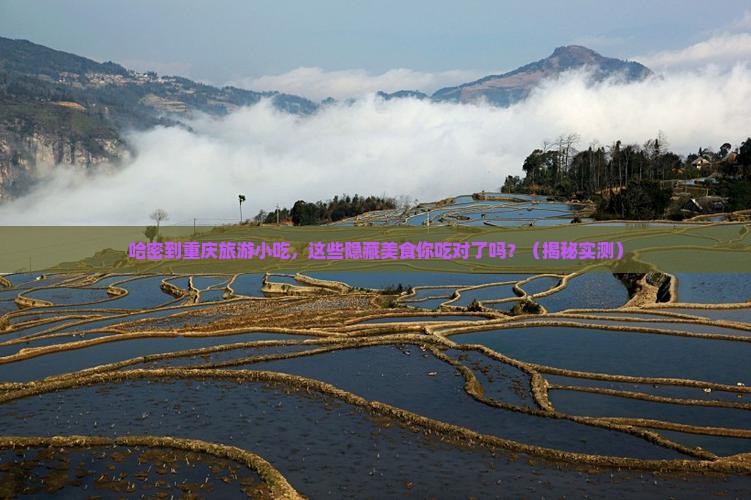 哈密到重庆旅游小吃