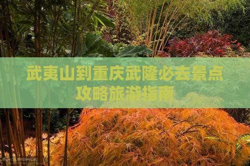武夷山去重庆武隆必去地
