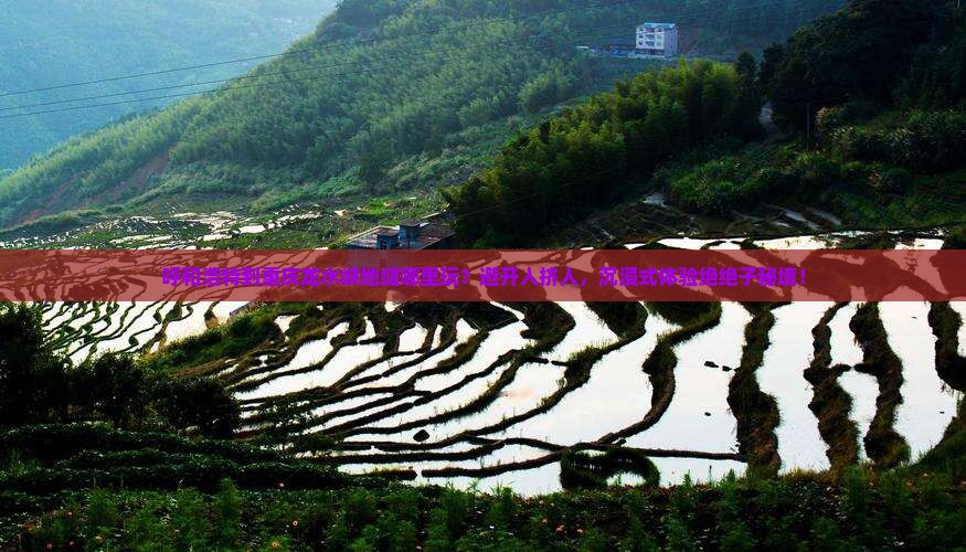 呼和浩特到重庆龙水峡地缝哪里玩