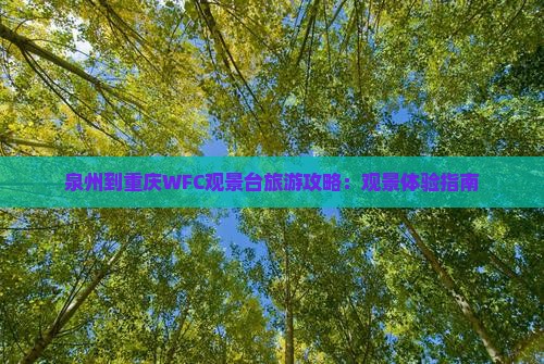 泉州到重庆wfc观景台旅游