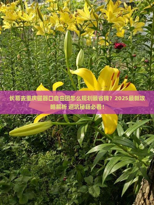 长葛去重庆磁器口自由团
