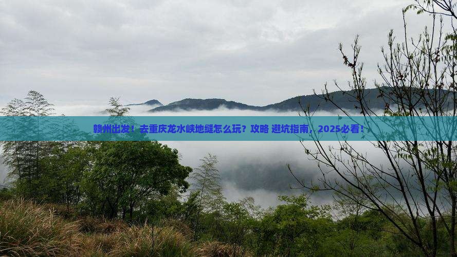 赣州去重庆龙水峡地缝旅行社