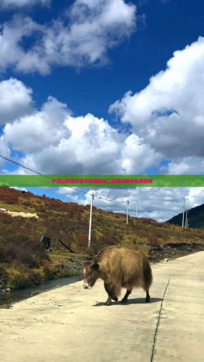 平顶山到重庆李子坝轻轨站二日游