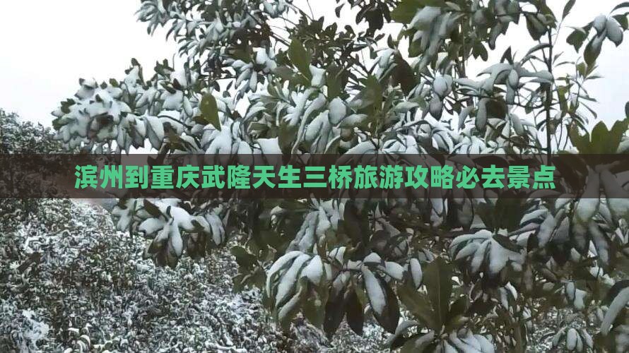 滨州到重庆武隆天生三桥必去地