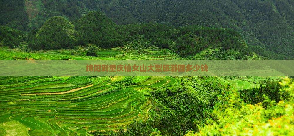 绵阳到重庆仙女山大型旅游团