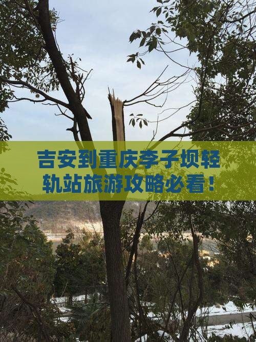 吉安到重庆李子坝轻轨站旅游