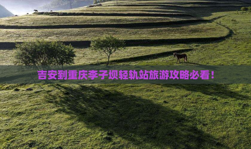 吉安到重庆李子坝轻轨站旅游