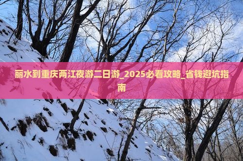 丽水到重庆两江夜游二日游
