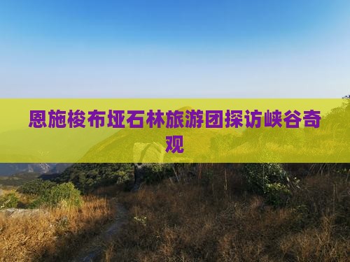 端午节到恩施梭布垭石林大型旅游团