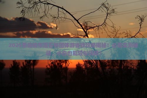 白银去恩施梭布垭石林团体旅游