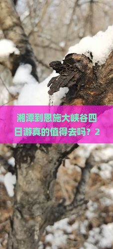 湘潭到恩施大峡谷四日游