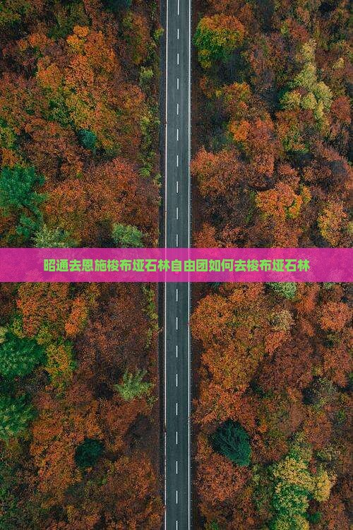 昭通去恩施梭布垭石林自由团