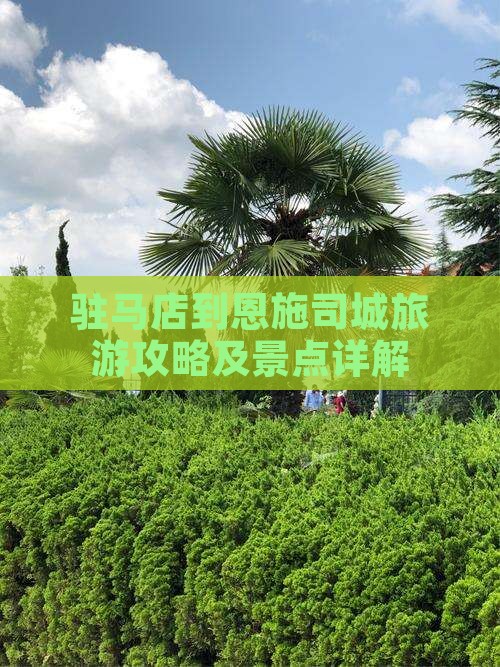 驻马店到恩施土司城个人游