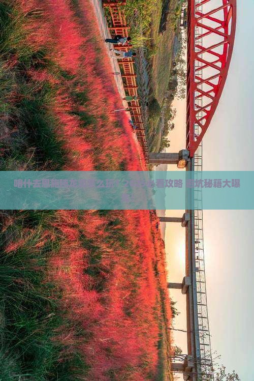 喀什去恩施腾龙洞旅行社