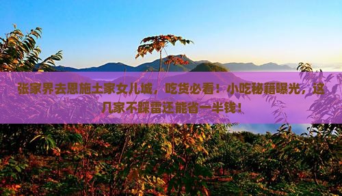 张家界去恩施土家女儿城旅游小吃