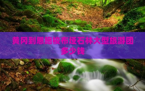 黄冈到恩施梭布垭石林大型旅游团