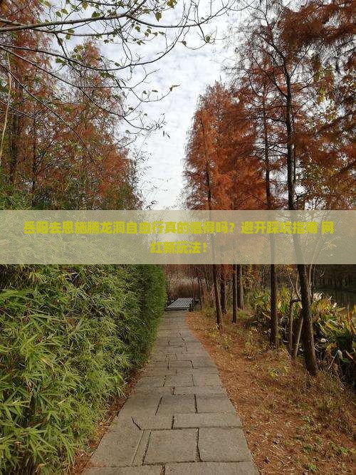 岳阳去恩施腾龙洞自由行