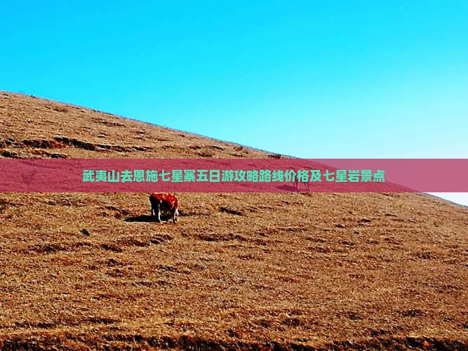 武夷山去恩施七星寨五日游