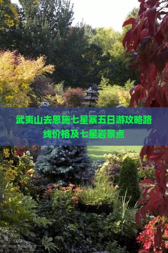 武夷山去恩施七星寨五日游