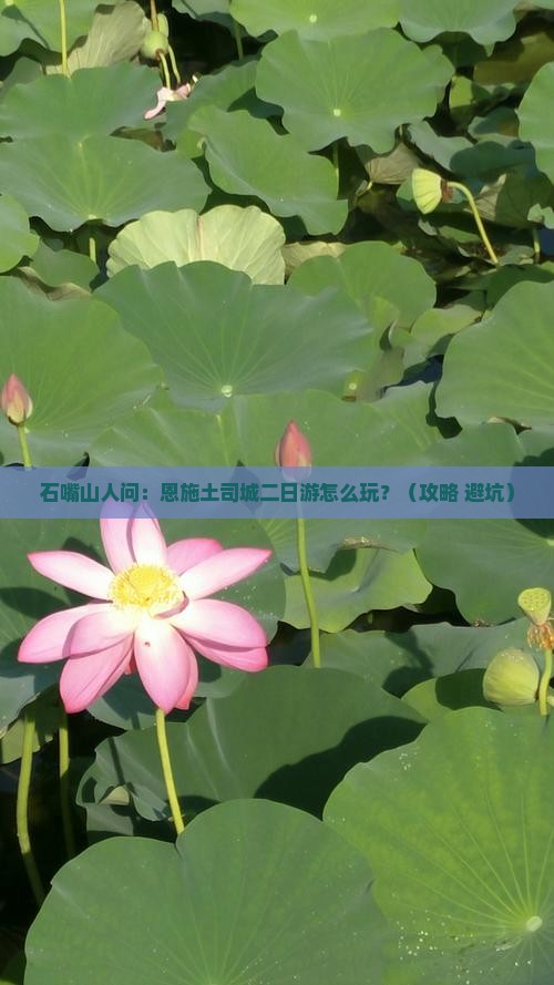 石嘴山到恩施土司城二日游