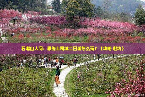 石嘴山到恩施土司城二日游