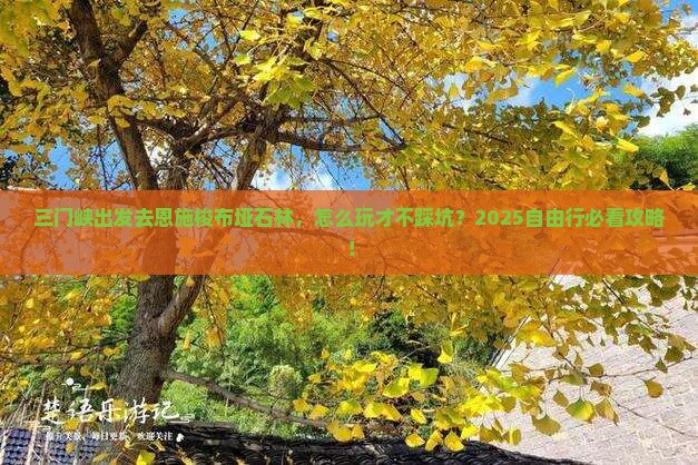 三门峡去恩施梭布垭石林自由行