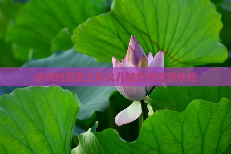 徐州到恩施土家女儿城景点