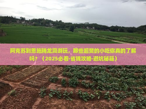 阿克苏去恩施腾龙洞旅游小吃