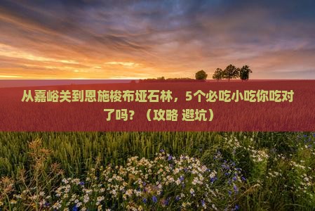 嘉峪关到恩施梭布垭石林旅游小吃