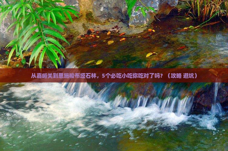 嘉峪关到恩施梭布垭石林旅游小吃