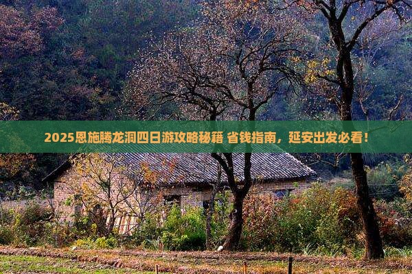延安去恩施腾龙洞四日游