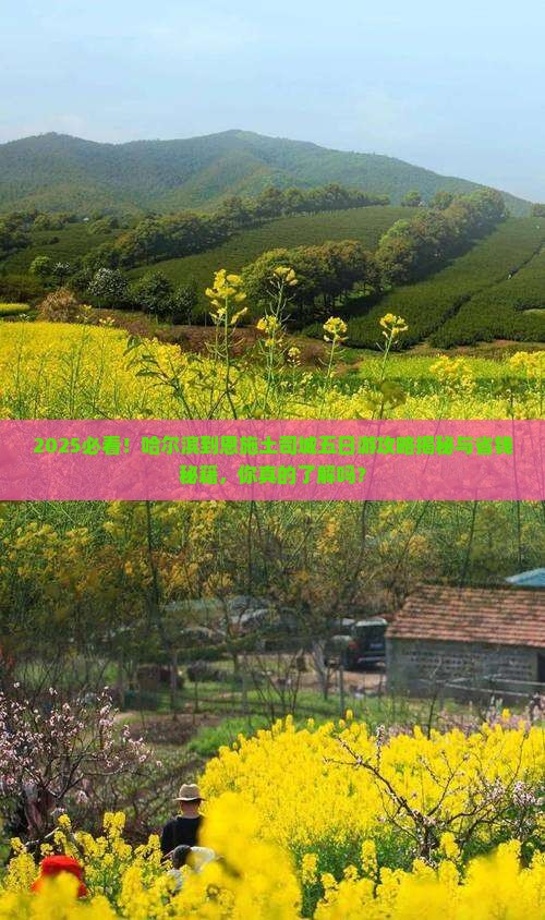 哈尔滨到恩施土司城五日游