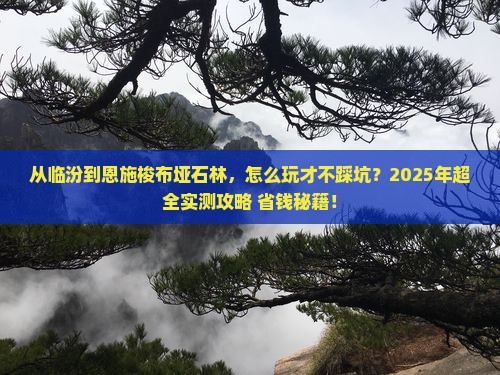 临汾到恩施梭布垭石林攻略