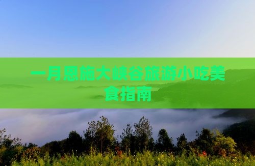 一月去恩施大峡谷旅游小吃