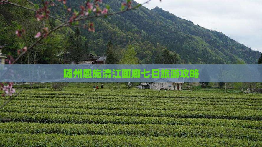 随州去恩施清江画廊七日游