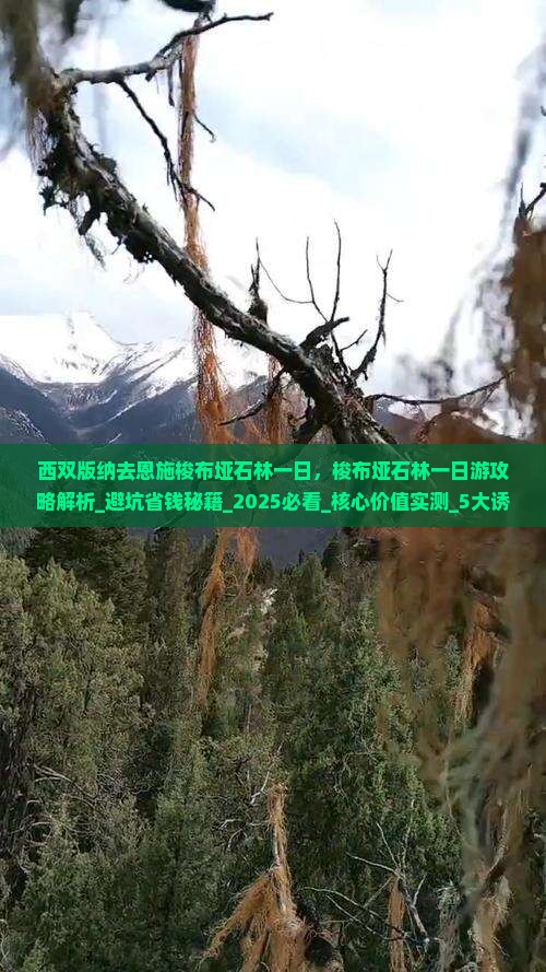 西双版纳去恩施梭布垭石林一日