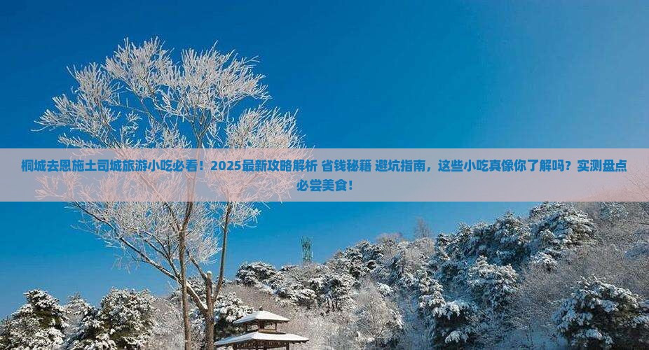 桐城去恩施土司城旅游小吃
