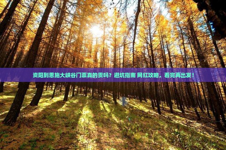 资阳到恩施大峡谷门票