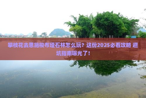 攀枝花去恩施梭布垭石林必去地