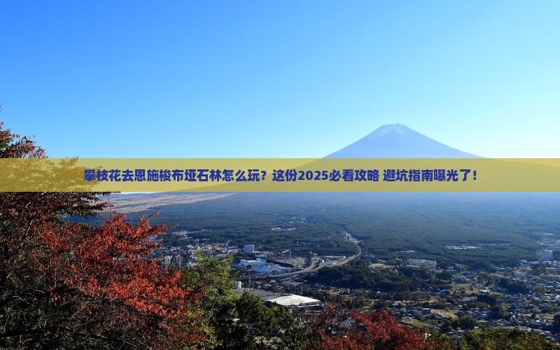 攀枝花去恩施梭布垭石林必去地
