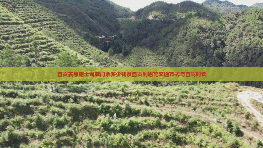 自贡去恩施土司城门票 自贡去恩施土司城门票