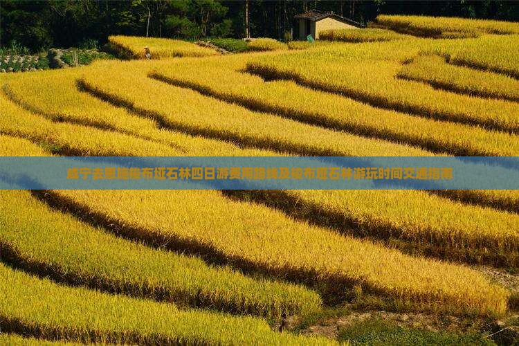 咸宁去恩施梭布垭石林四日游