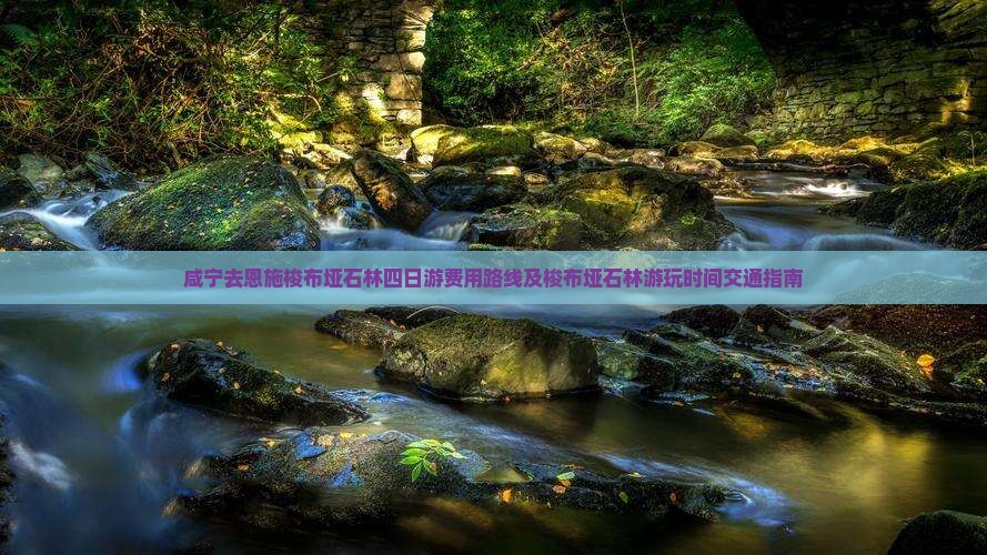 咸宁去恩施梭布垭石林四日游