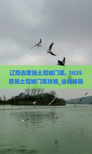 辽阳去恩施土司城门票