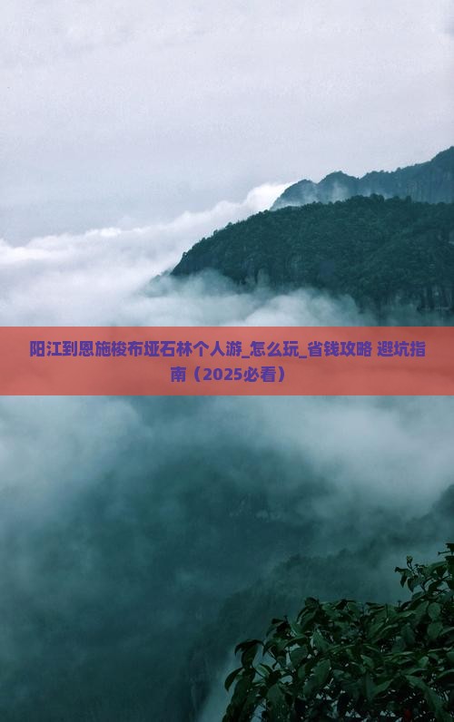 阳江到恩施梭布垭石林个人游